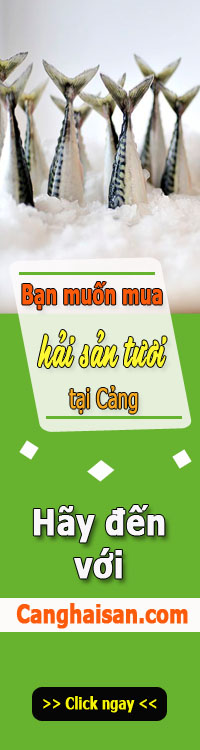 bannercabiendoc1